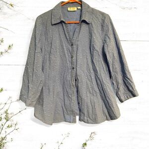 D&Co Women's Blue Button Down Shirt